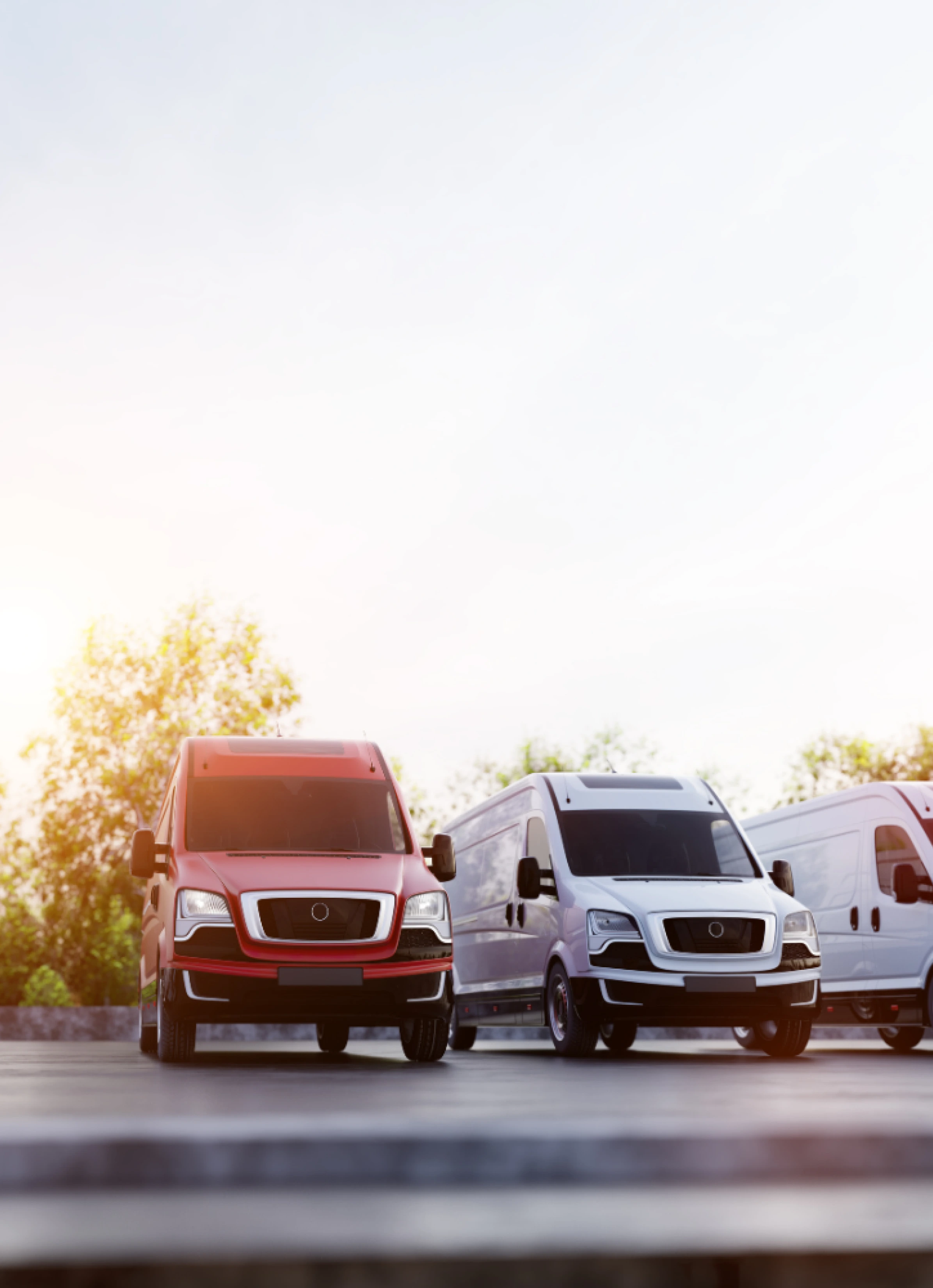 insurance renewal